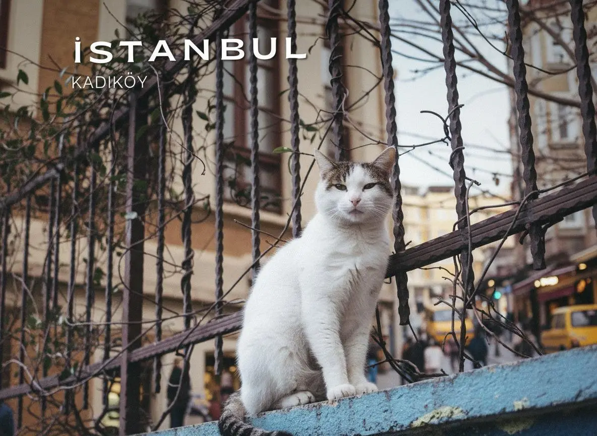 İstanbul'da Ekonomik Tatil: Kadıköy